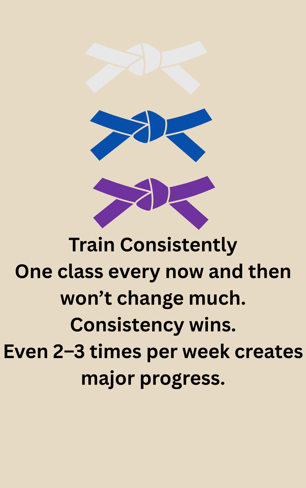Buy: 1x E-book Beginner Guide to Jiu Jitsu Get: 1x Jiu Jitsu Beginner's Guide GIF — FREE