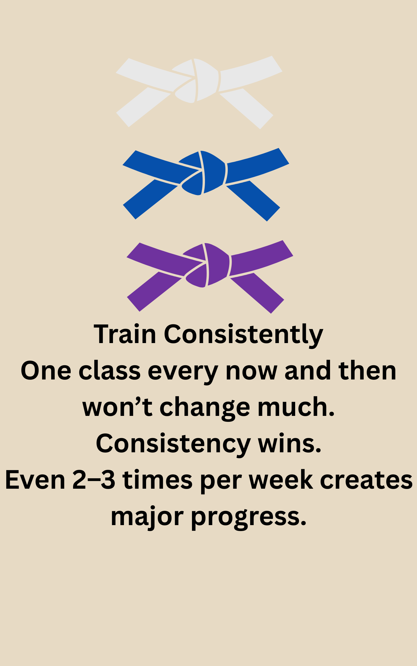 Buy: 1x E-book Beginner Guide to Jiu Jitsu Get: 1x Jiu Jitsu Beginner's Guide GIF — FREE